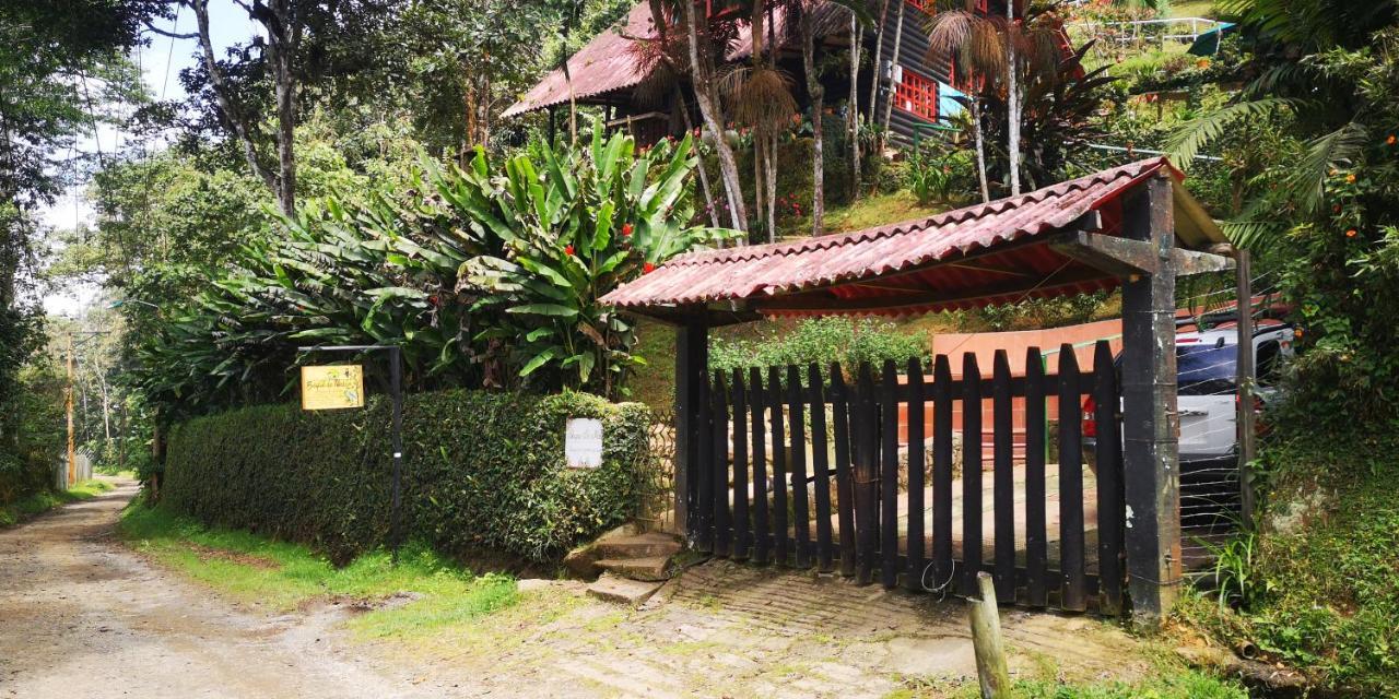 Bosque De Niebla Birding & Nature Cali Kültér fotó
