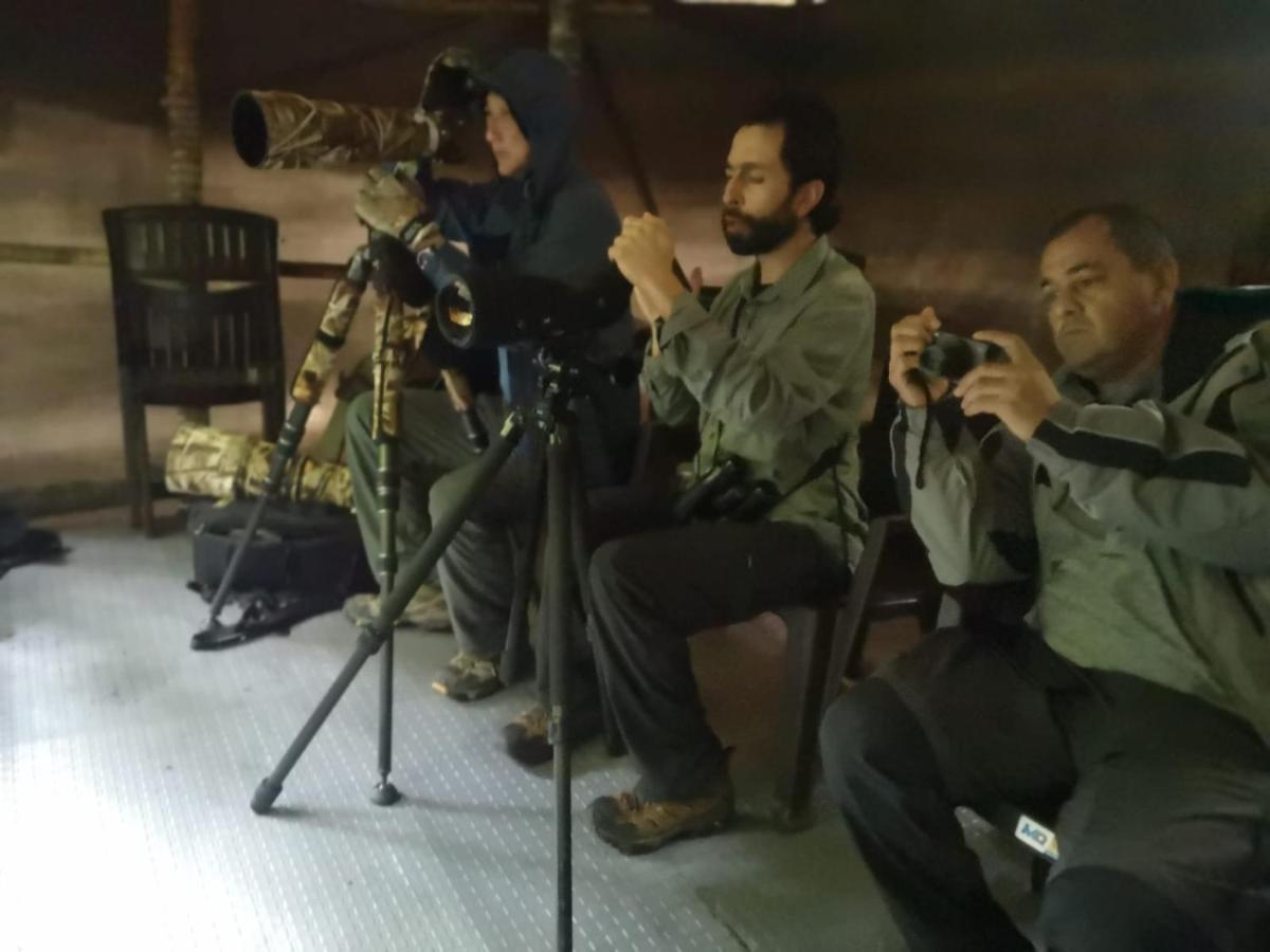 Bosque De Niebla Birding & Nature Cali Kültér fotó