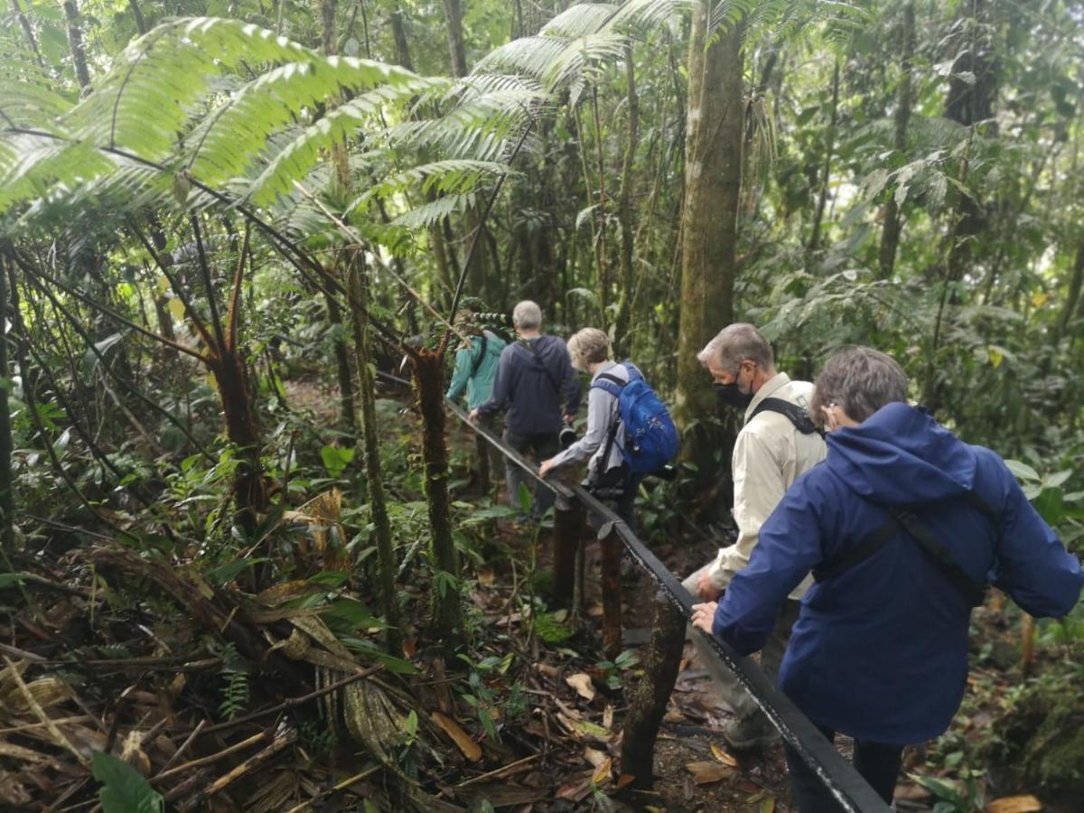 Bosque De Niebla Birding & Nature Cali Kültér fotó