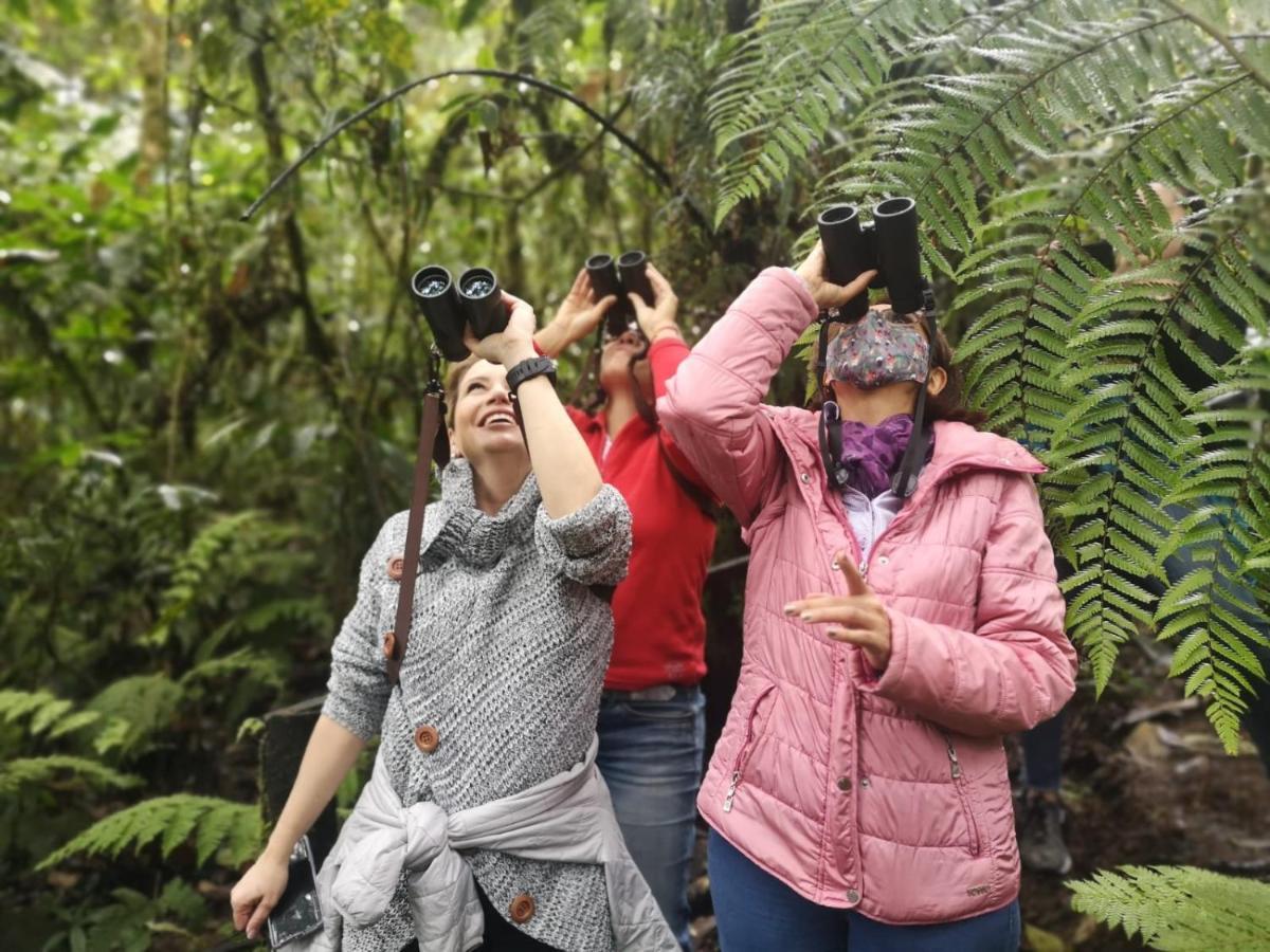 Bosque De Niebla Birding & Nature Cali Kültér fotó