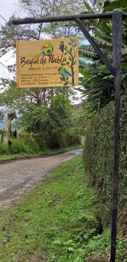 Bosque De Niebla Birding & Nature Cali Kültér fotó