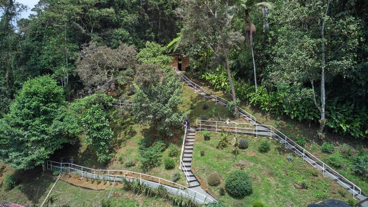 Bosque De Niebla Birding & Nature Cali Kültér fotó