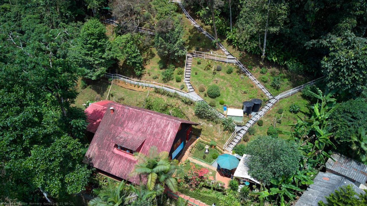 Bosque De Niebla Birding & Nature Cali Kültér fotó