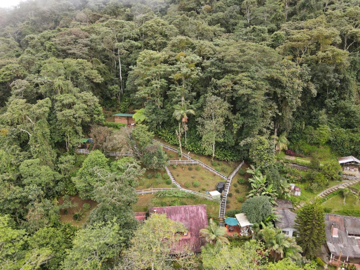 Bosque De Niebla Birding & Nature Cali Kültér fotó