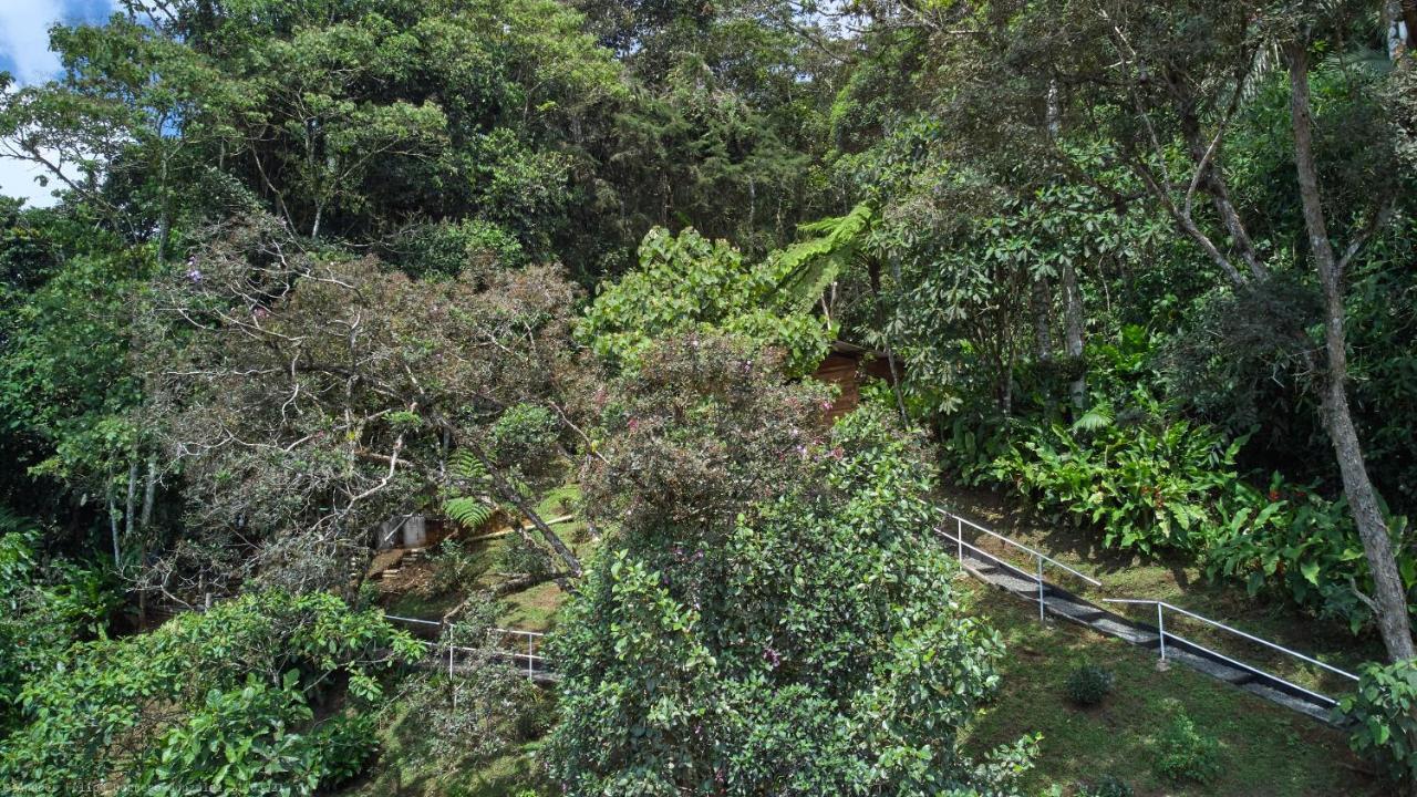 Bosque De Niebla Birding & Nature Cali Kültér fotó